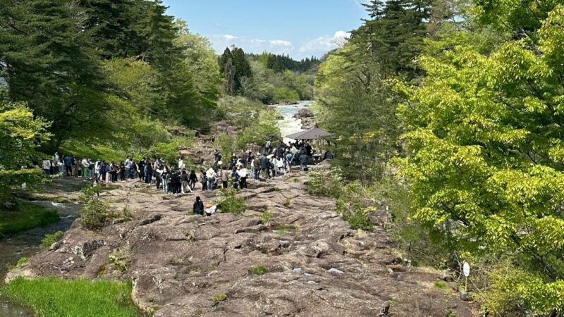 かっこうだんごの並ぶ列