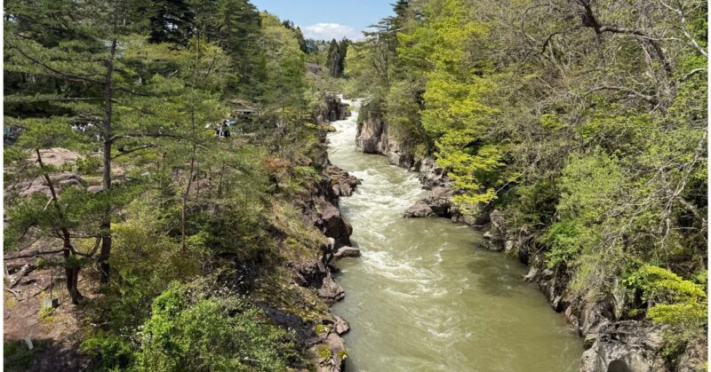 橋の上から見た厳美渓の川