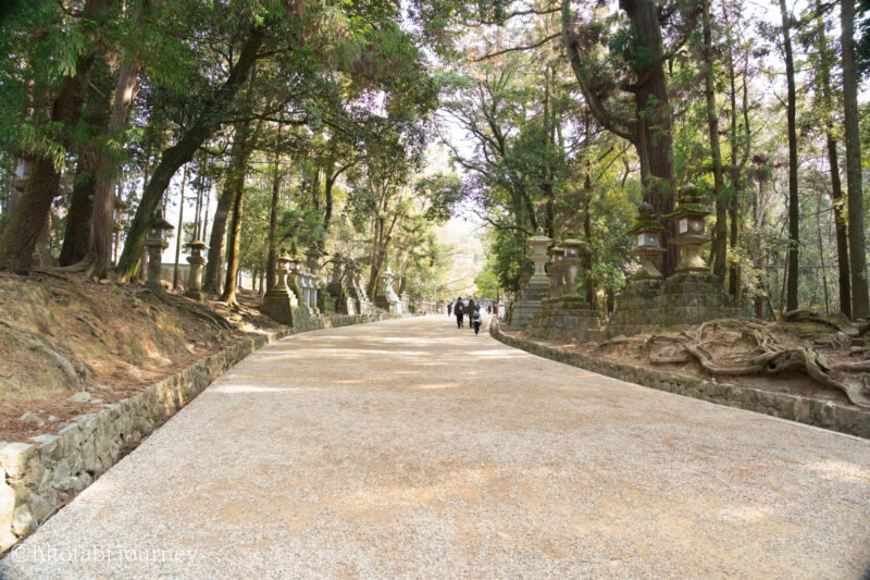 春日大社へと向かう参道