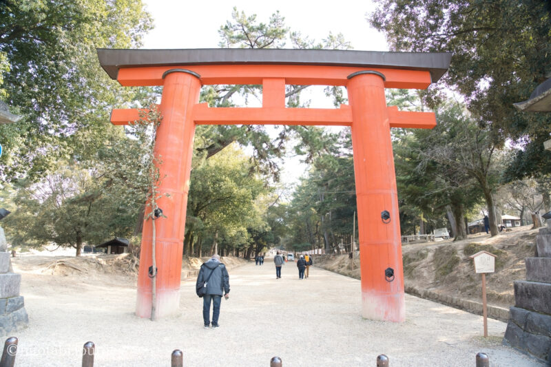 春日大社一之鳥居