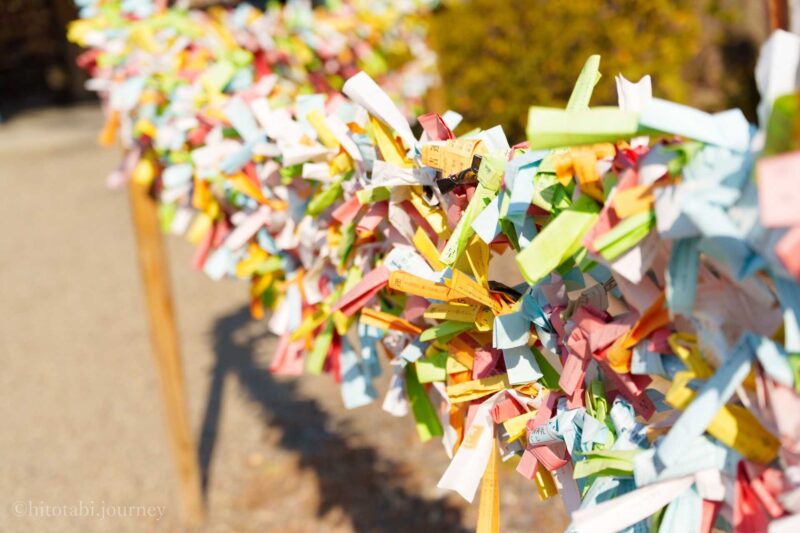 豊国神社のおみくじ