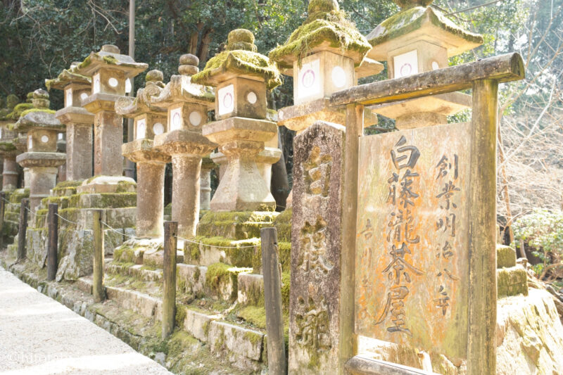春日大社参道の灯篭