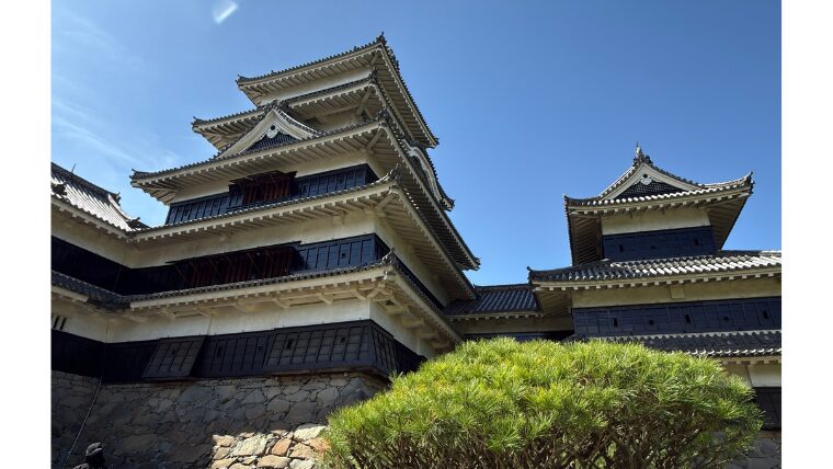 下から見上げた松本城