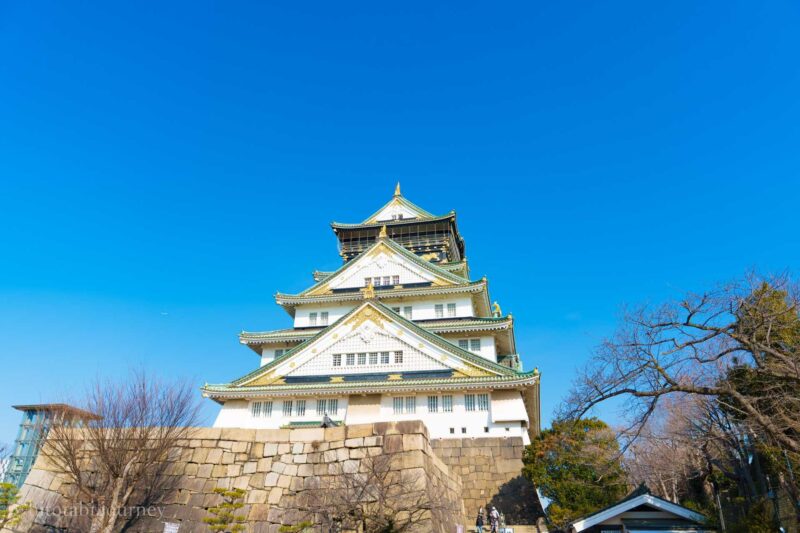 近くで見る大阪城