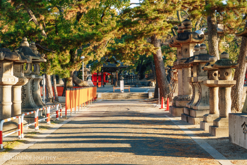 朝日に照らされる参道