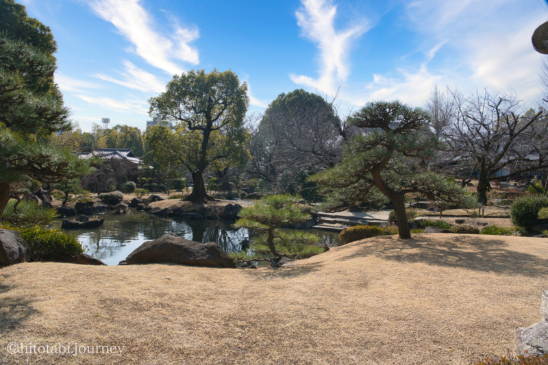 極楽浄土の庭の風景